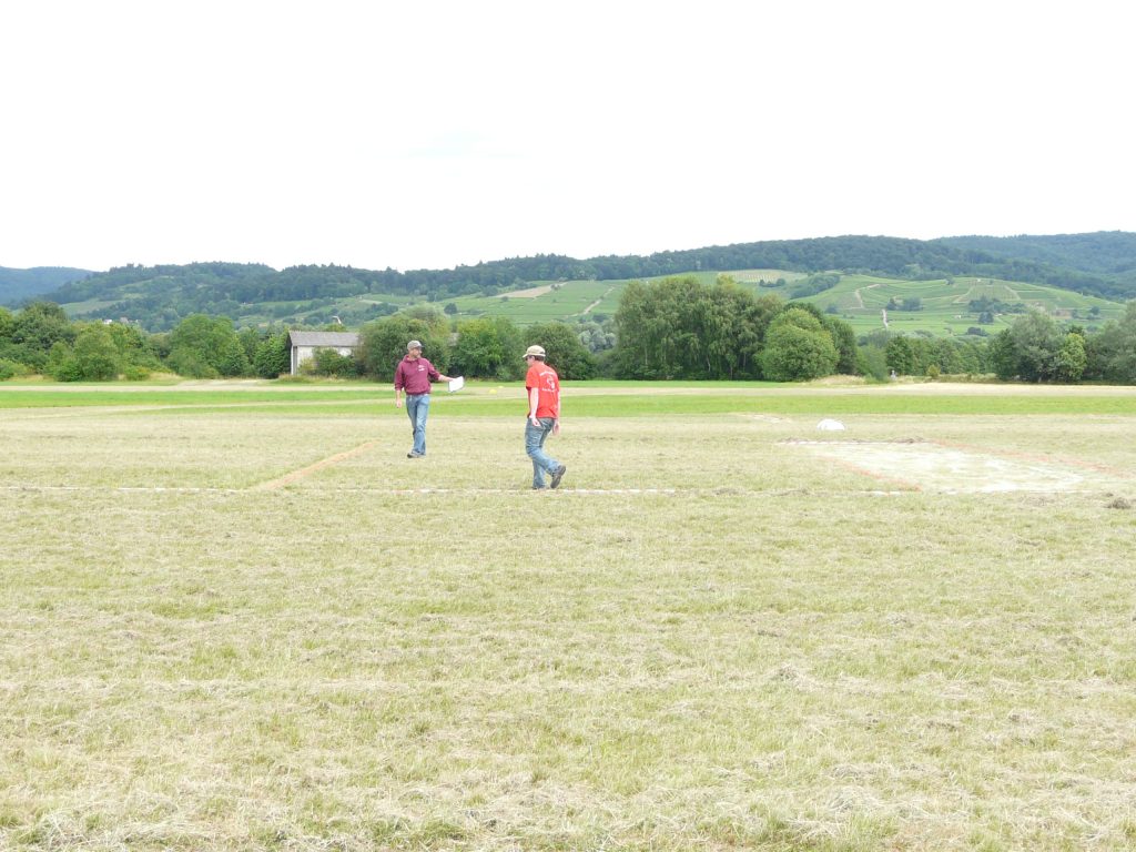 Hessenflieger in Heppenheim